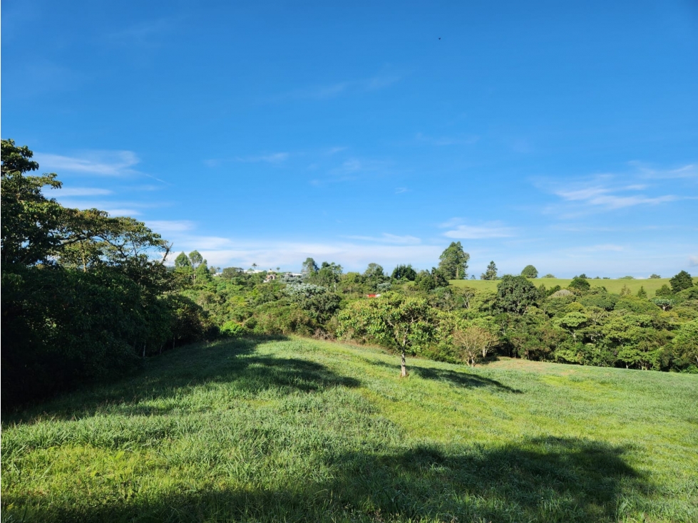 LOTE EN VENTA EN FILANDIA - 5