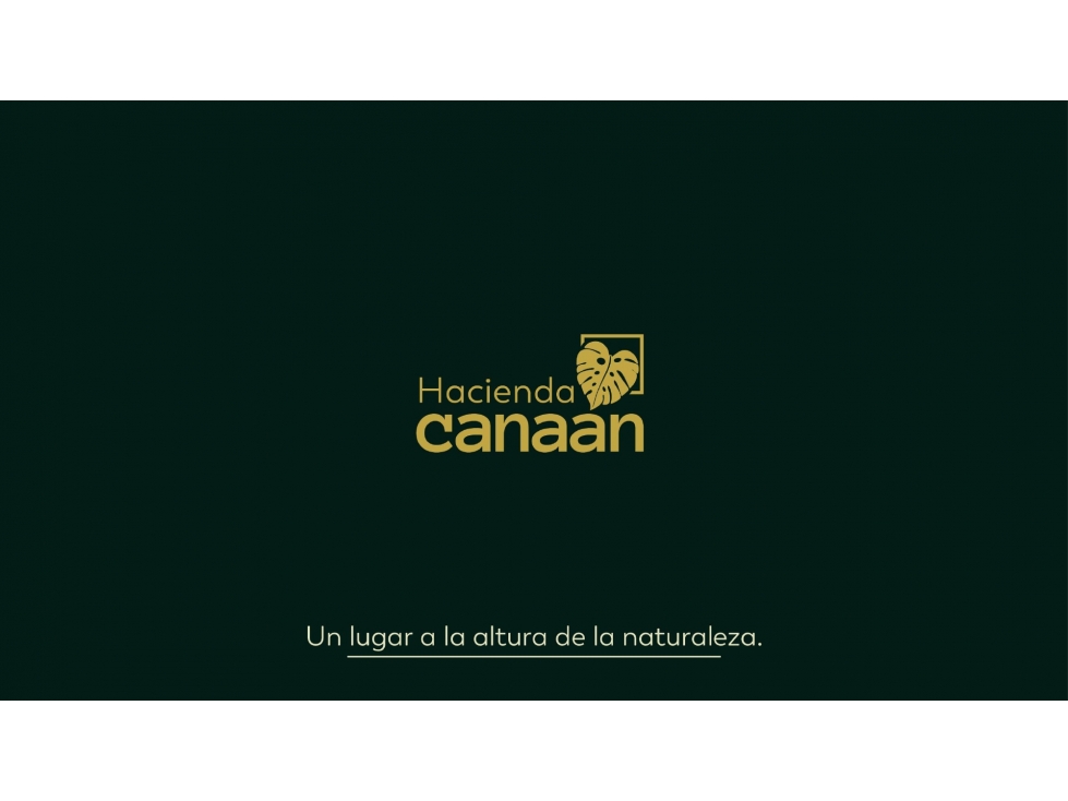 Casas y apartamentos en proyecto de lujo en Pereira
