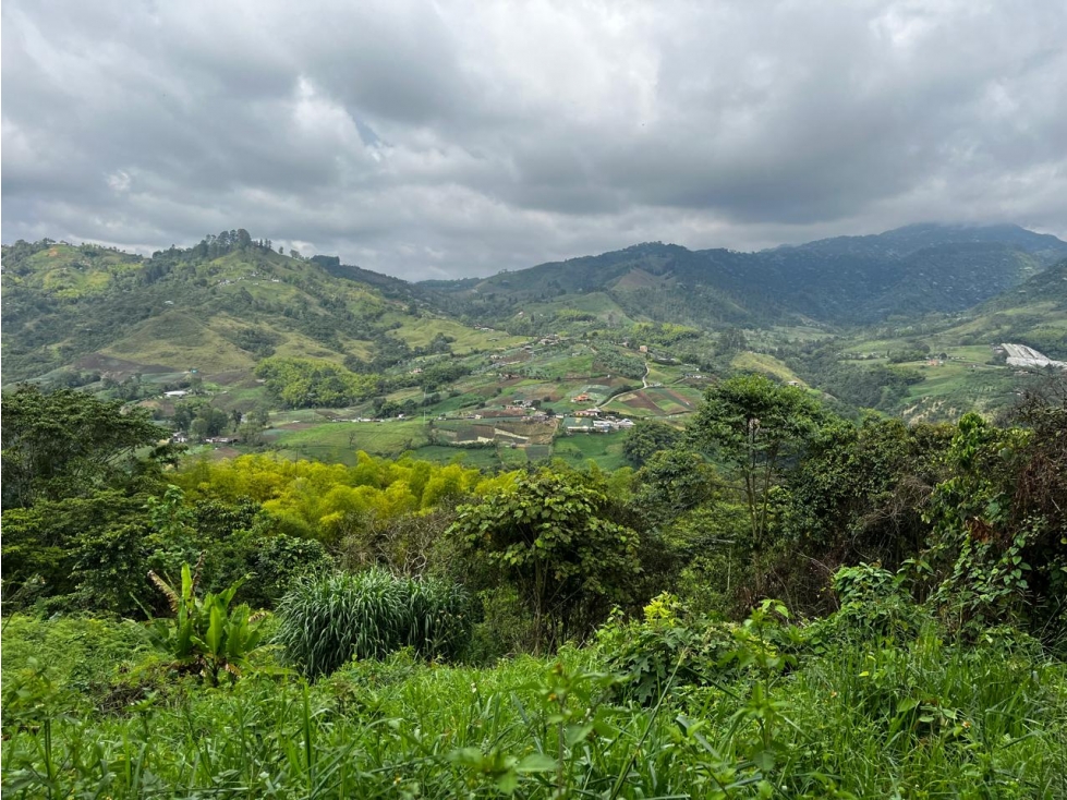 Finca en Venta Corregimiento de La Florida, Pereira