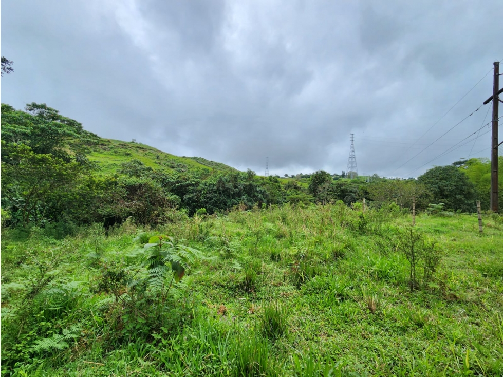 lote en venta con topografía plana y recursos hídricos naturales - 1