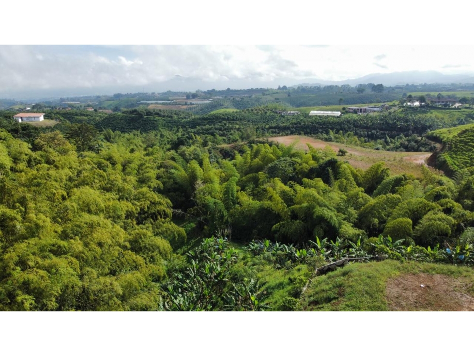Oportunidad de inversión en Pereira Venta de lote en Altagracia