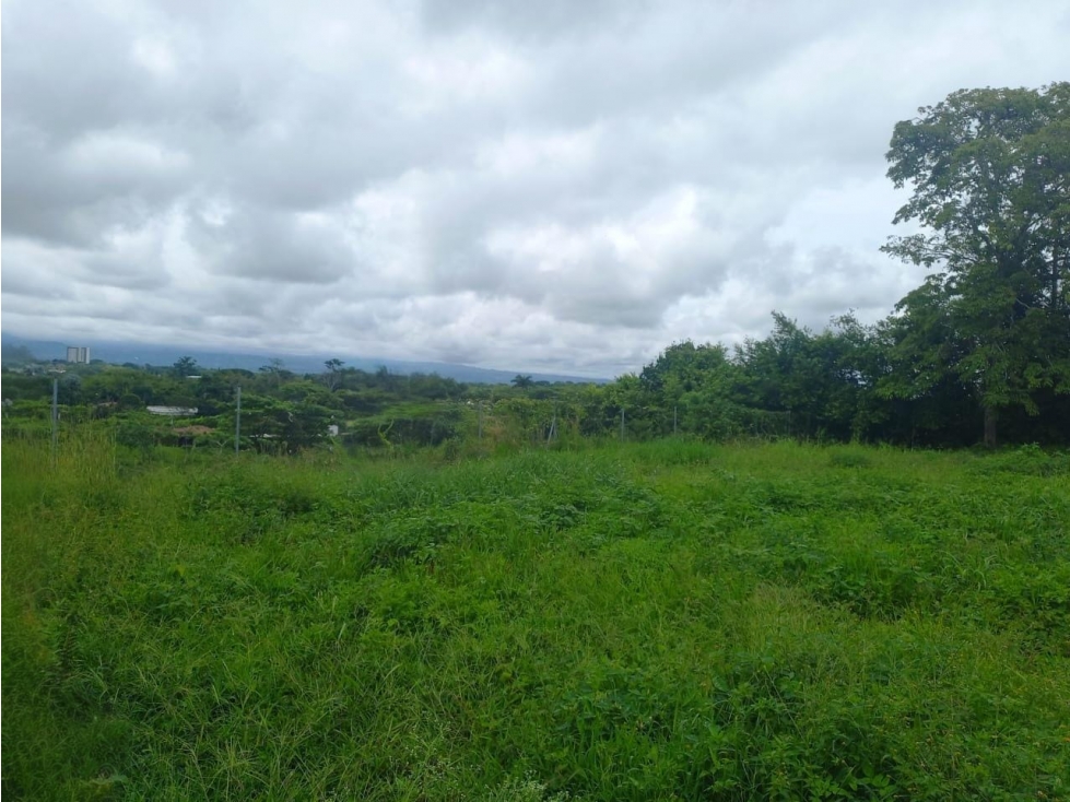 Lote comercial sobre vía principal en cerritos