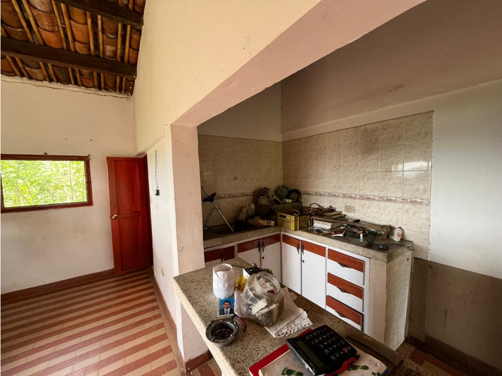 Finca en venta en La Virginia, Risaralda 15 hectáreas productivas - 5