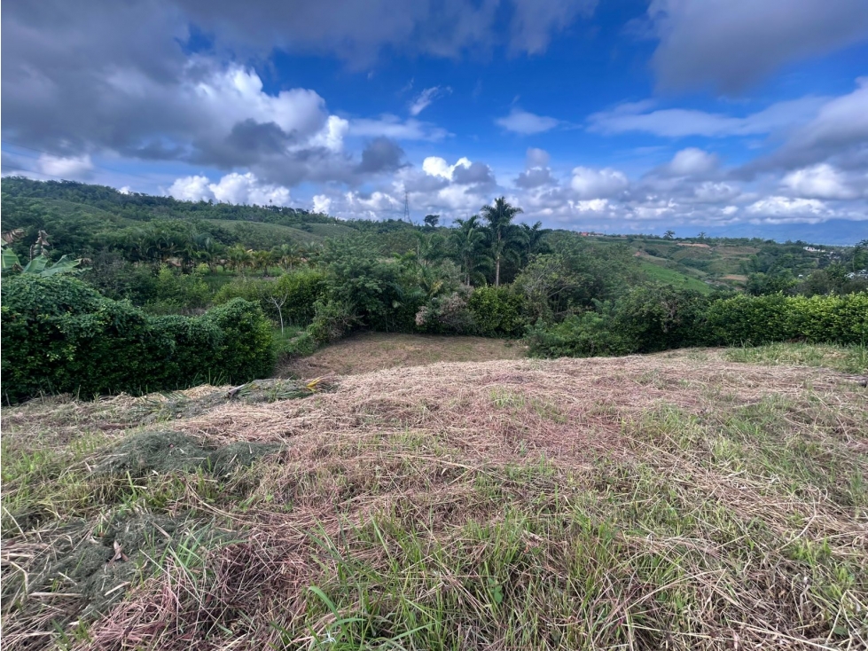 Lote campestre en venta en cerritos Pereira