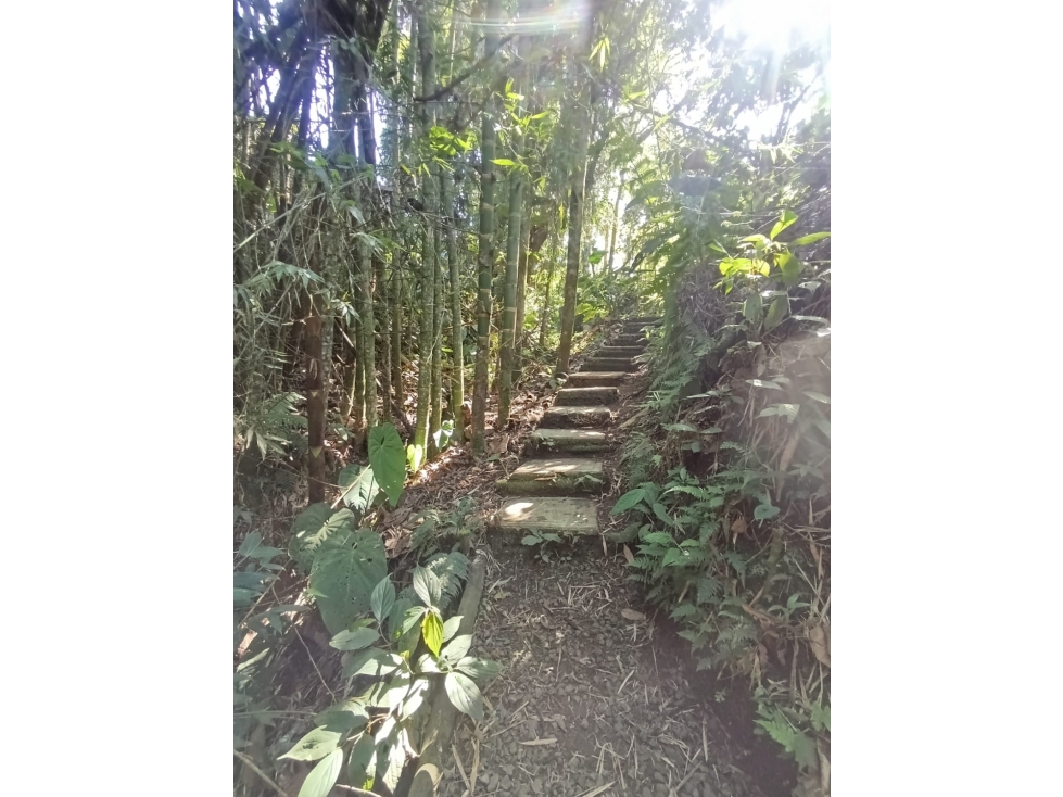 Lote campestre en venta Condina Pereira