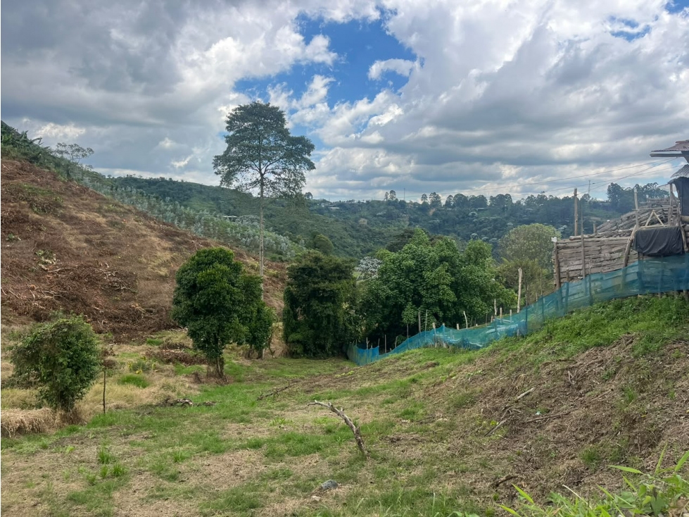 Lote en venta en La Bella, Pereira