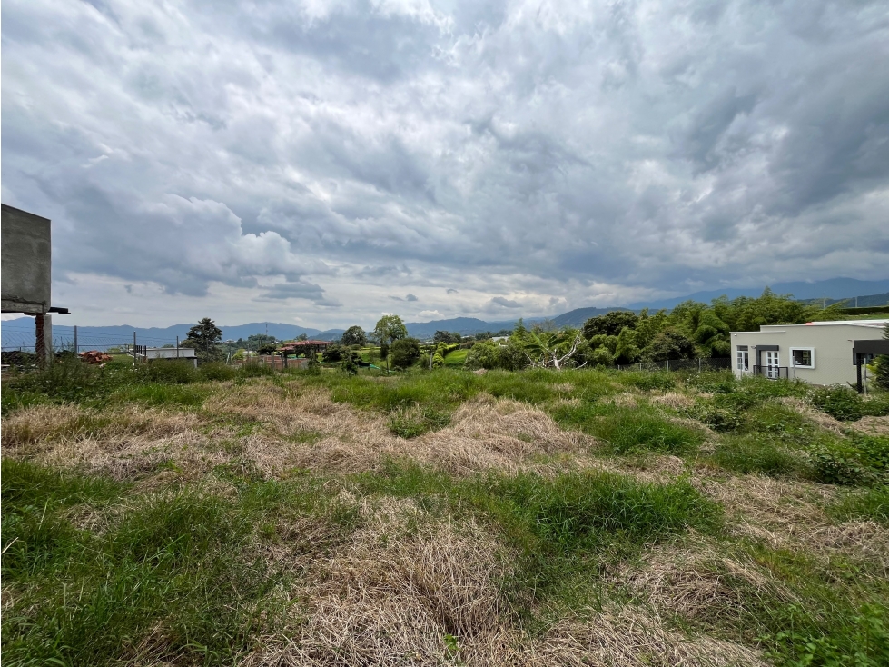 Lote en venta vía Armenia