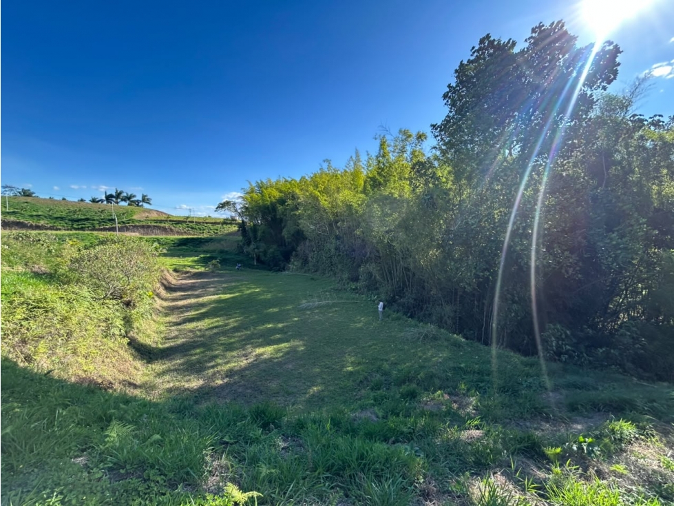 Lote en venta condina