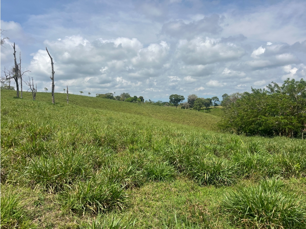 LOTE EN VENTA EN ALTAGRACIA PEREIRA