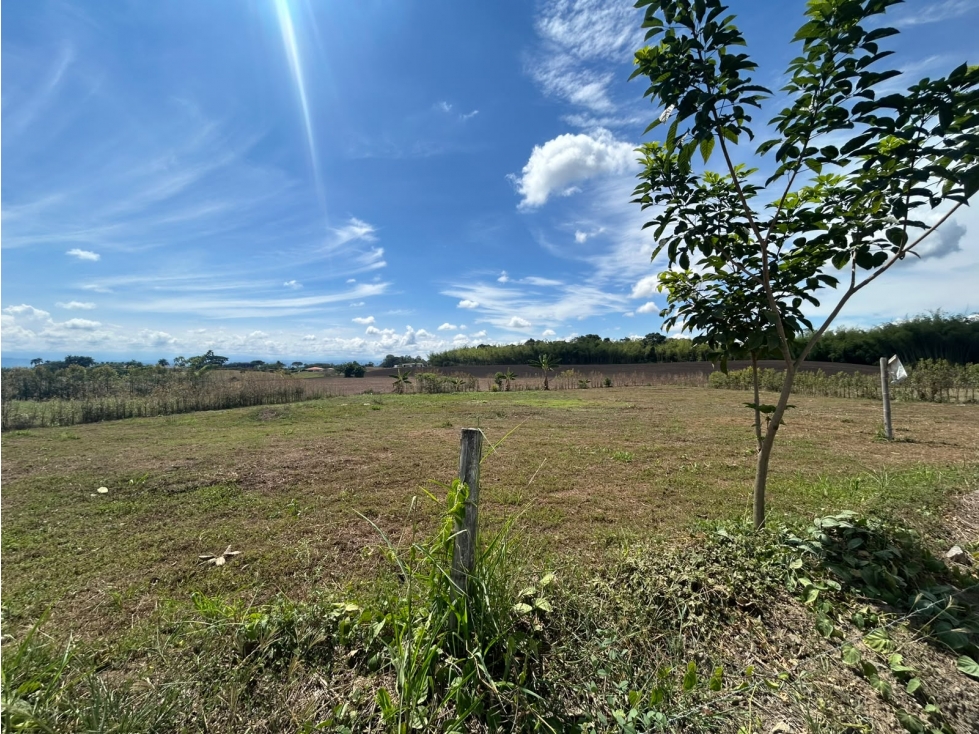 LOTE CAMPESTRE EN VENTA EN CERRITOS, PEREIRA