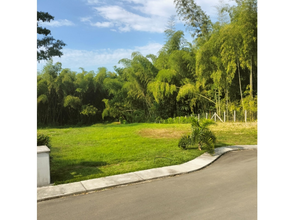 Venta de lote esquinero en condominio campestre cerritos — foto 3