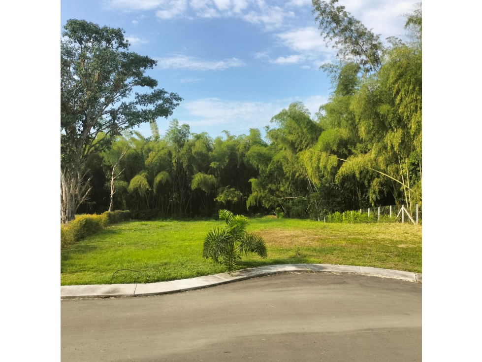 Venta de lote esquinero en condominio campestre cerritos — foto 4