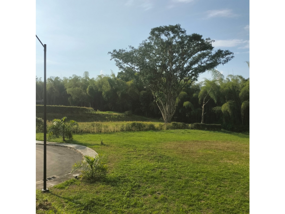 Venta de lote esquinero en condominio campestre cerritos — foto 5