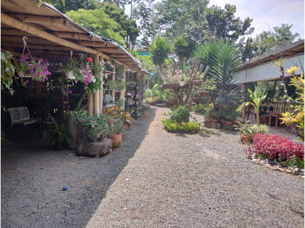 ¡Espectacular casa campestre en Pueblito Cafetero! — foto 4
