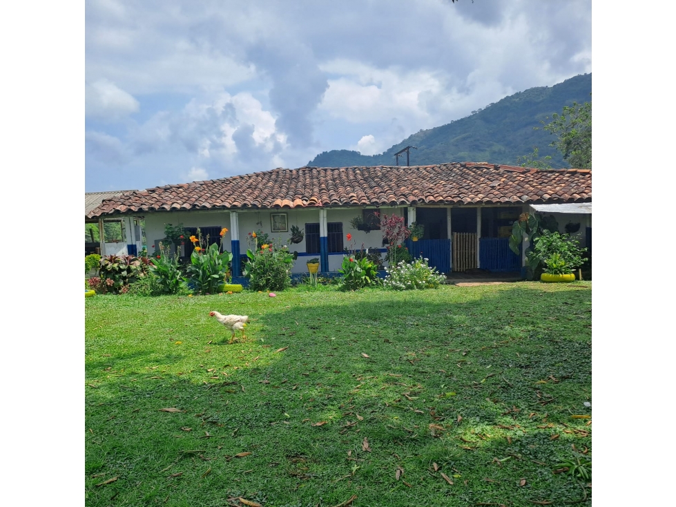 Venta de Finca a 30 Minutos de Pereira, Vía Crucero de Combia