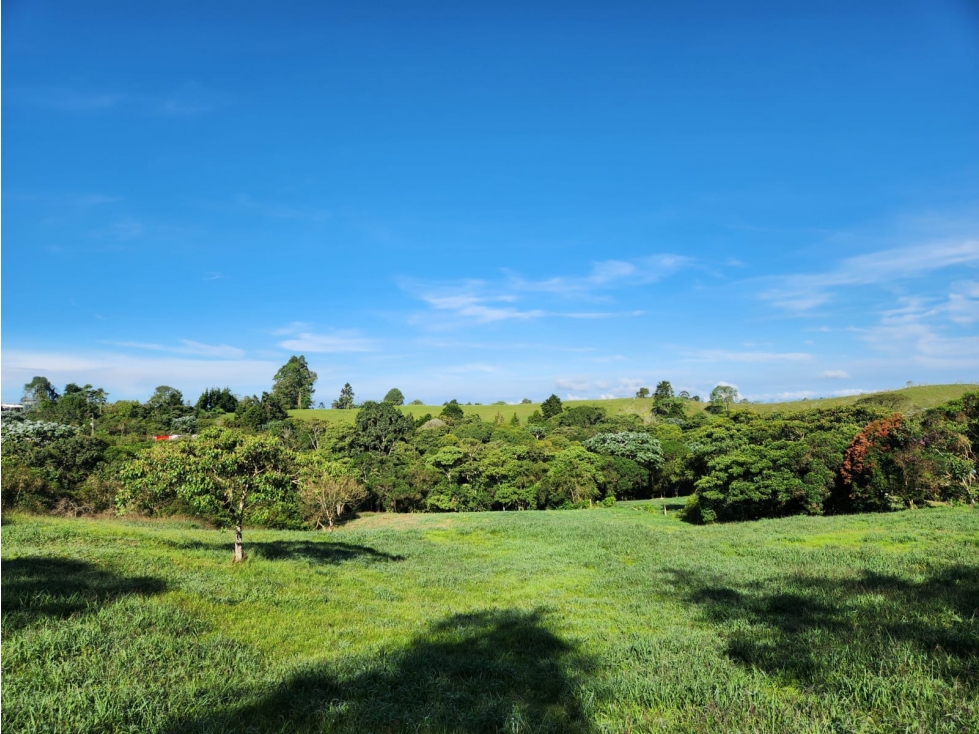 LOTE EN VENTA EN FILANDIA - 1