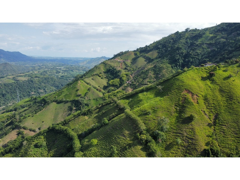 Finca en Venta en Belalcázar, Caldas - Gran Oportunidad de Inversión - 2