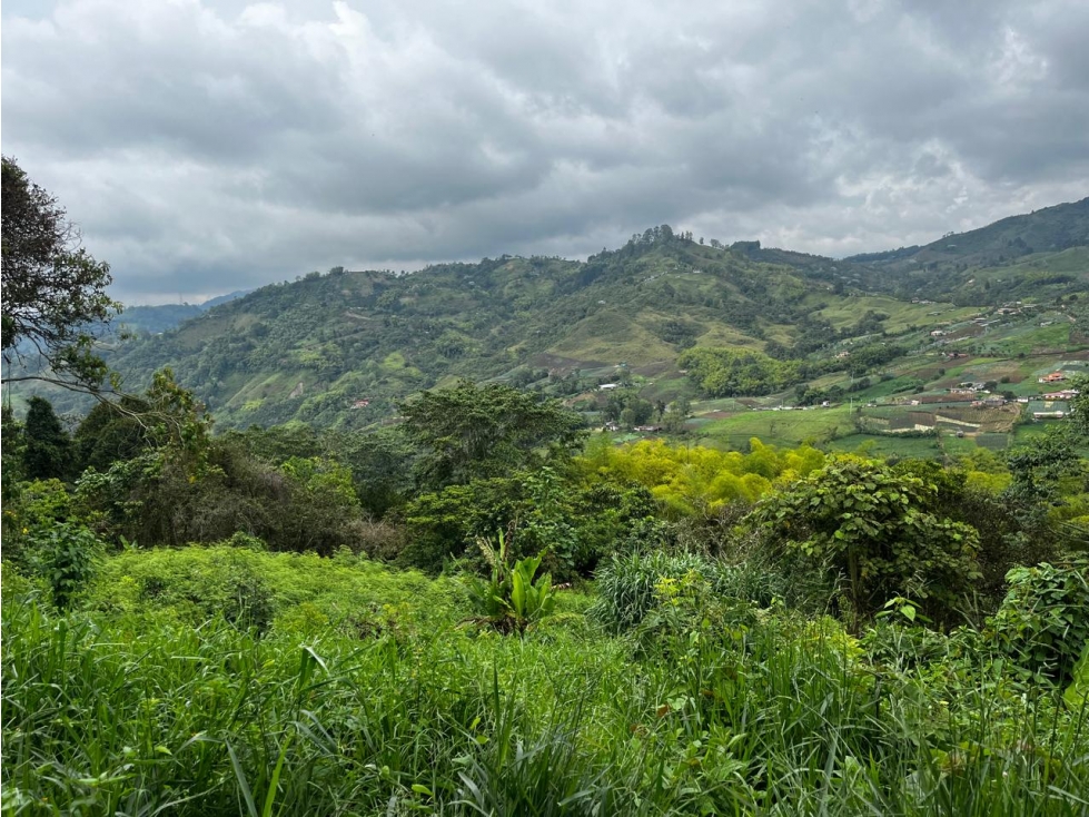 Finca en Venta Corregimiento de La Florida, Pereira — foto 2