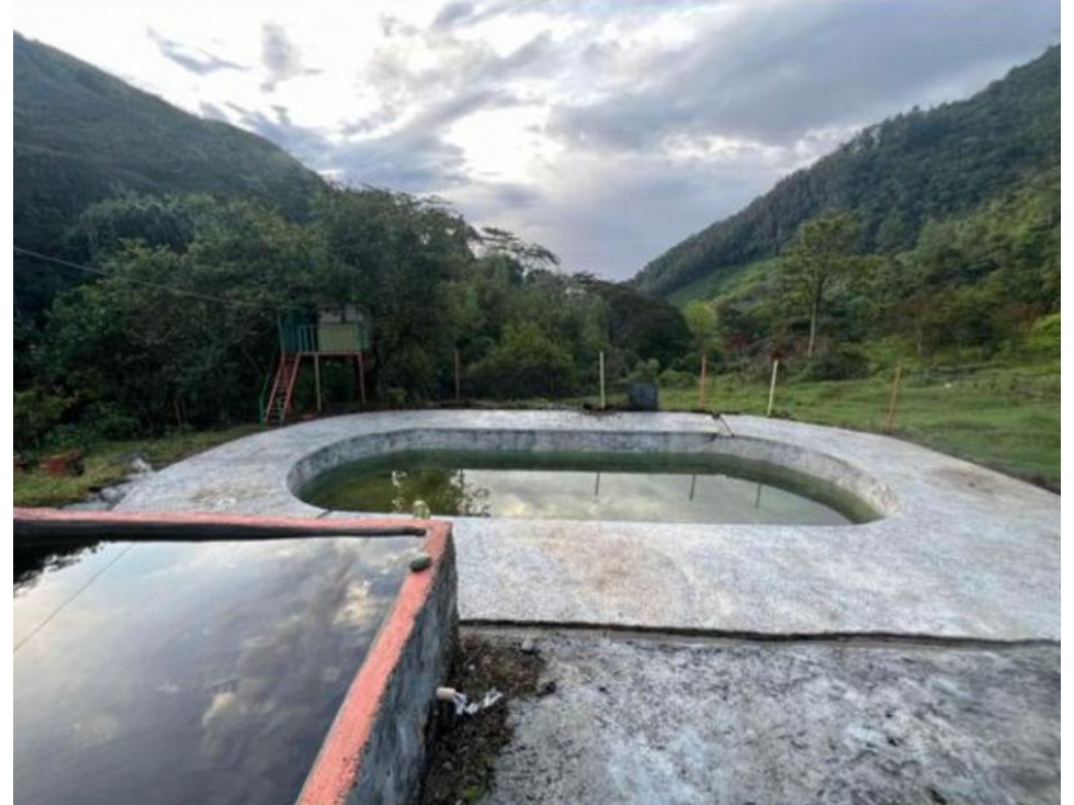 Finca en Venta Génova, Quindío - 2