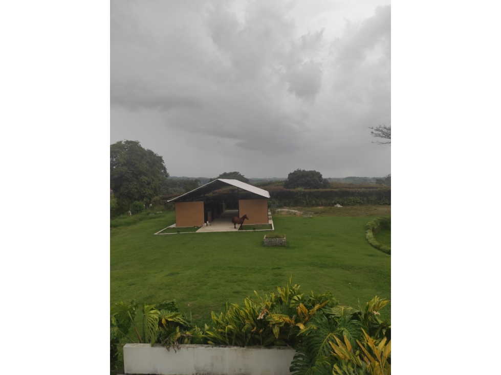 SE VENDE FINCA EN BETULIA AMOBLADA — foto 2