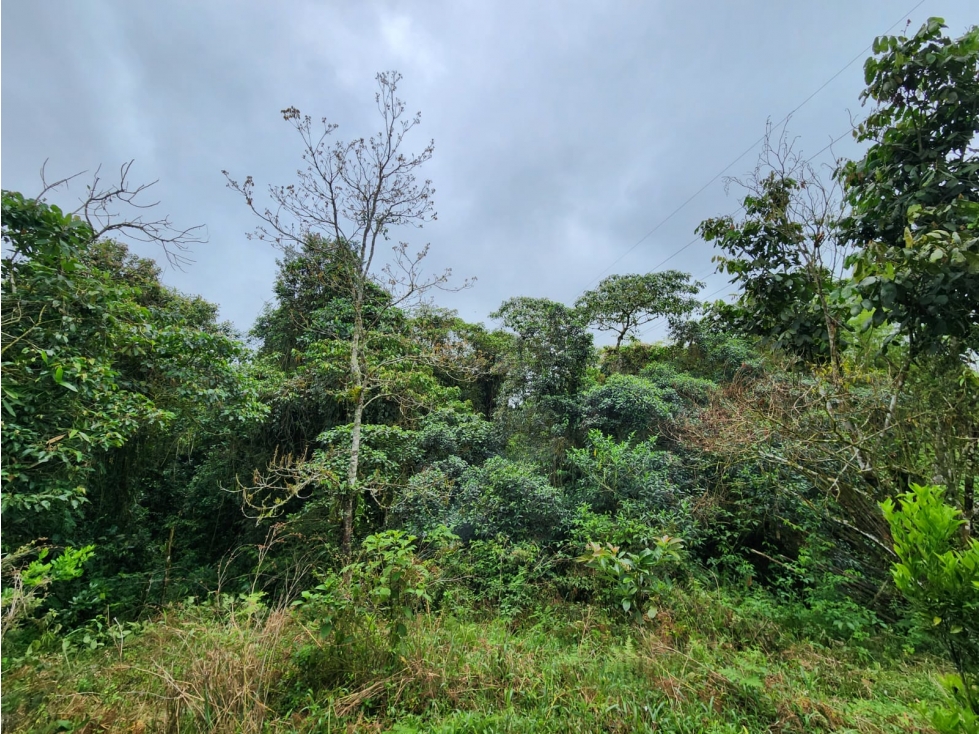 lote en venta con topografía plana y recursos hídricos naturales - 2