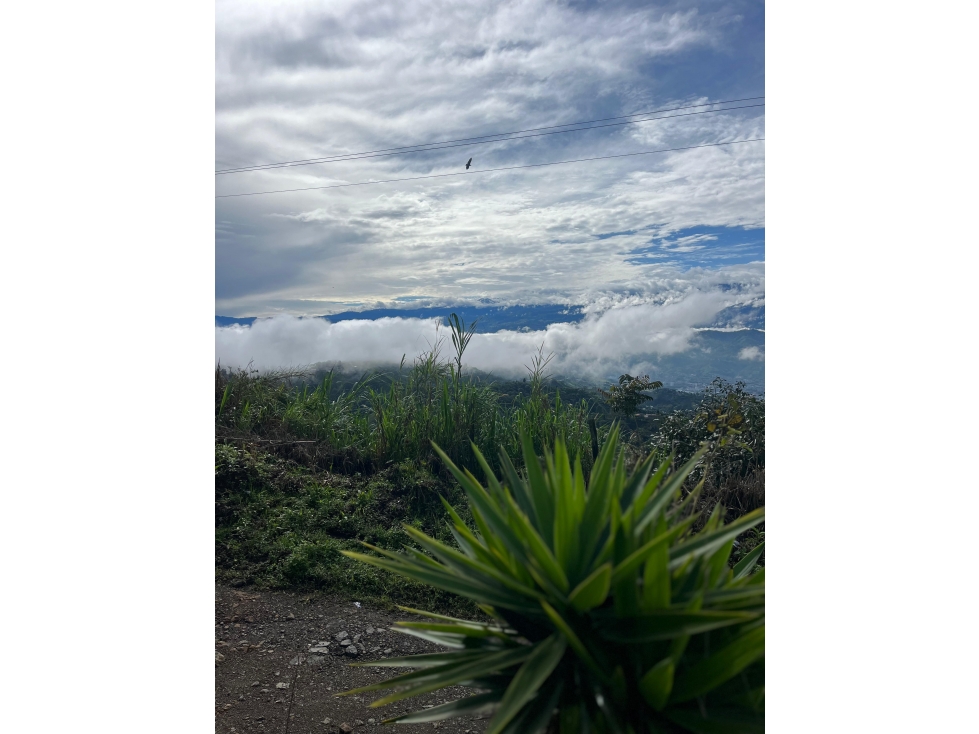 Finca en venta con vista panorámica 360° Alto del Nudo, Dosquebradas - 1