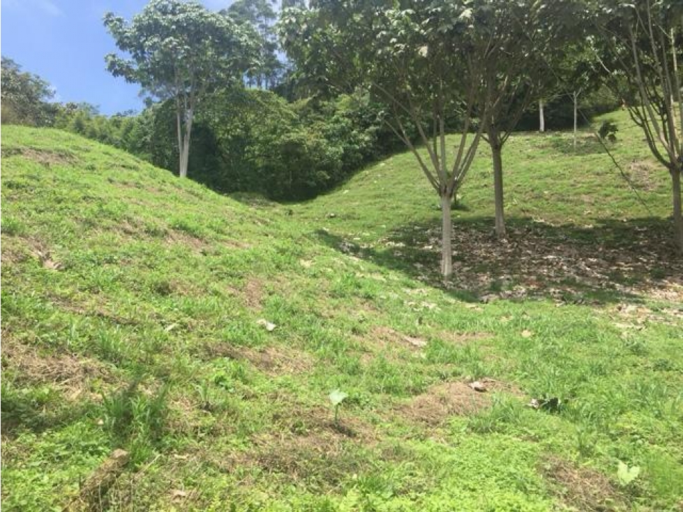 Lote en venta Los Nieblos Pereira — foto 2