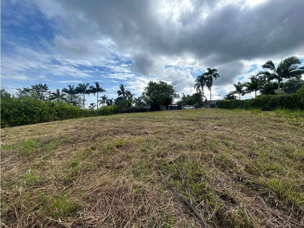 Lote campestre en venta en cerritos Pereira — foto 2