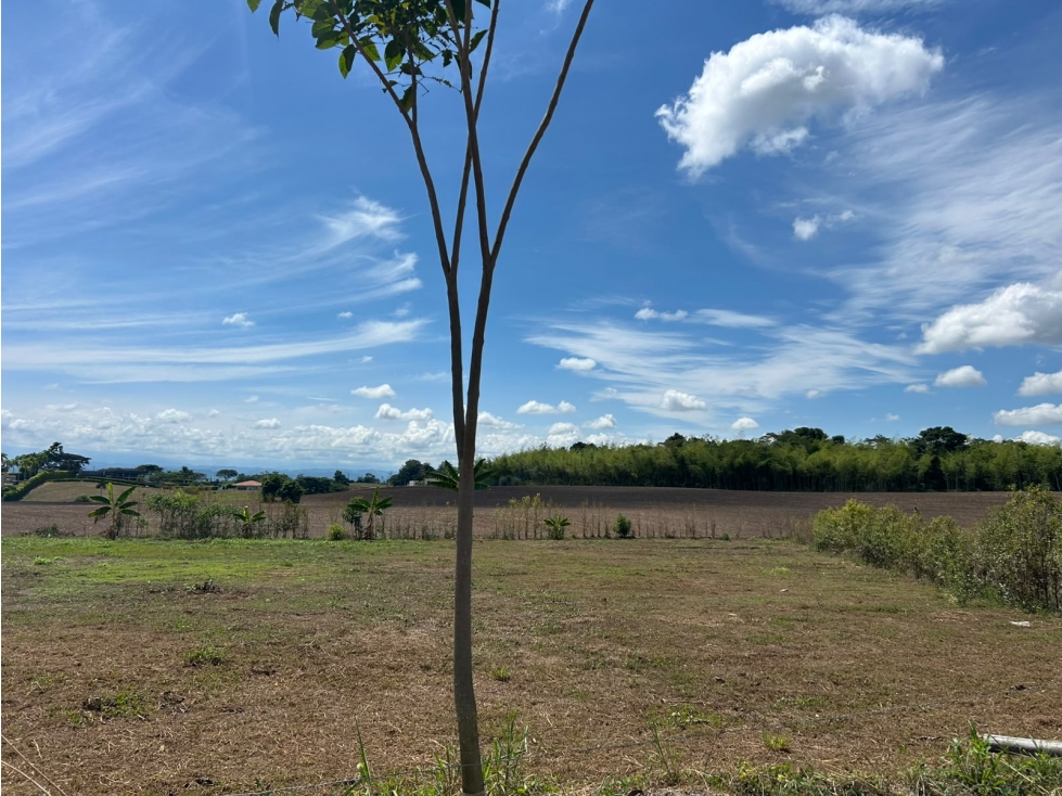 LOTE CAMPESTRE EN VENTA EN CERRITOS, PEREIRA — foto 2