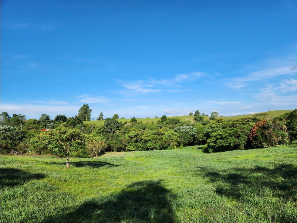 LOTE EN VENTA EN FILANDIA - 2