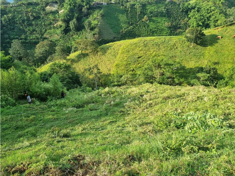 Lote en Venta en la Vía Armenia: Vistas Impresionantes - 3