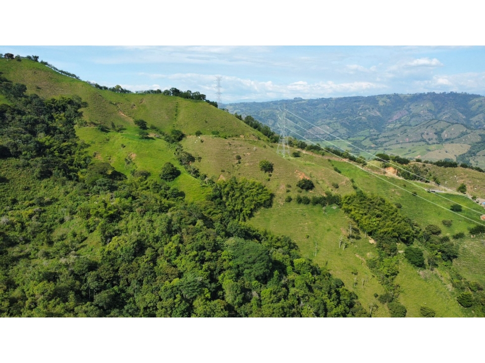 Finca en Venta en Belalcázar, Caldas - Gran Oportunidad de Inversión - 3