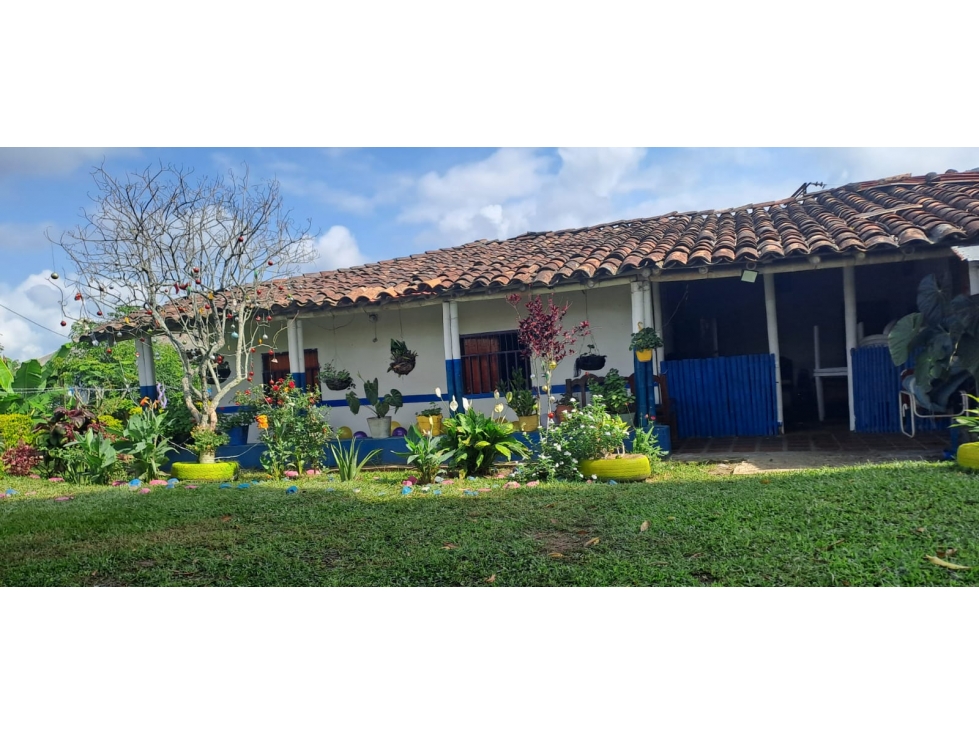 Venta de Finca a 30 Minutos de Pereira, Vía Crucero de Combia — foto 4