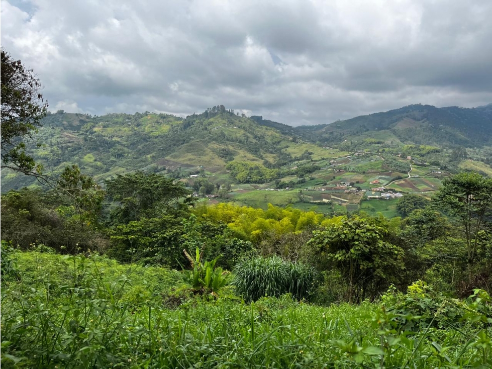 Finca en Venta Corregimiento de La Florida, Pereira — foto 3