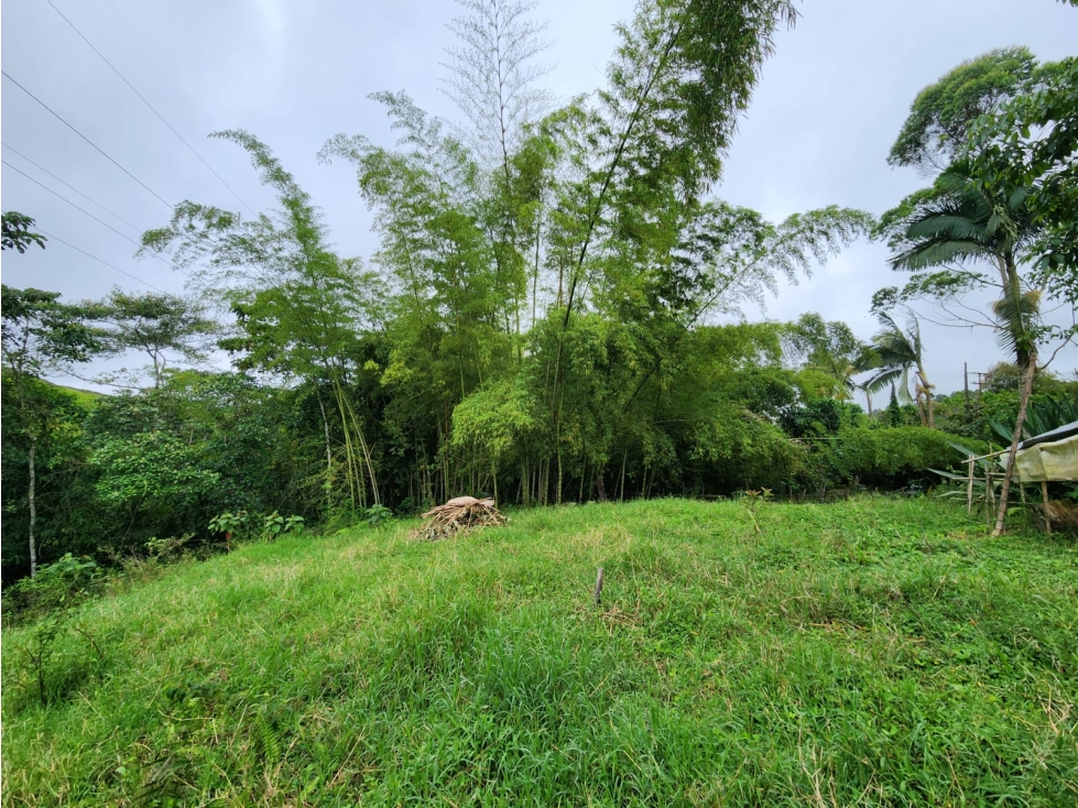 lote en venta con topografía plana y recursos hídricos naturales - 3