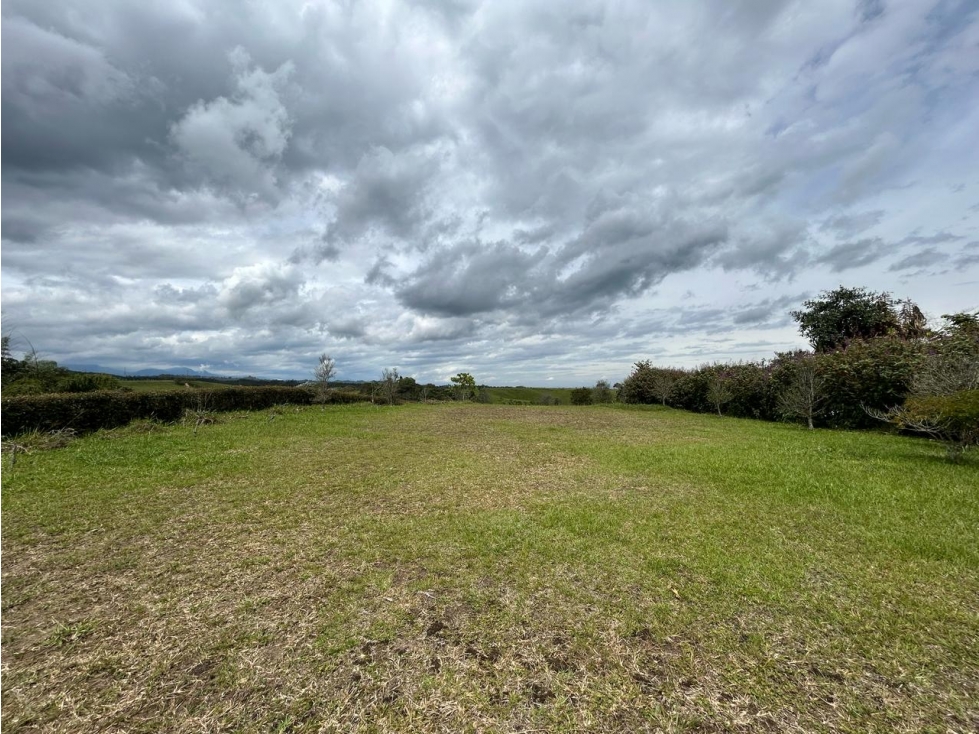 Espectacular lote en venta Vía Armenia, Pereira — foto 3