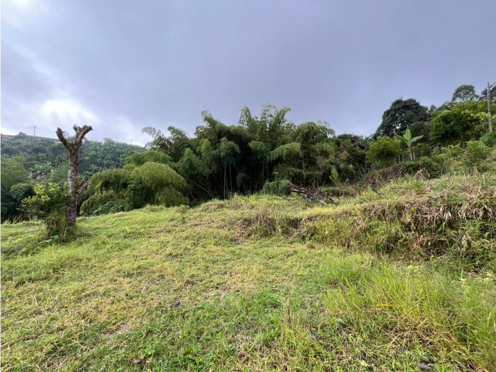 Lote en venta en Altagracia Excelente ubicación y proyección — foto 3