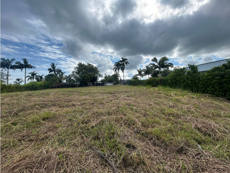 Lote campestre en venta en cerritos Pereira — foto 3
