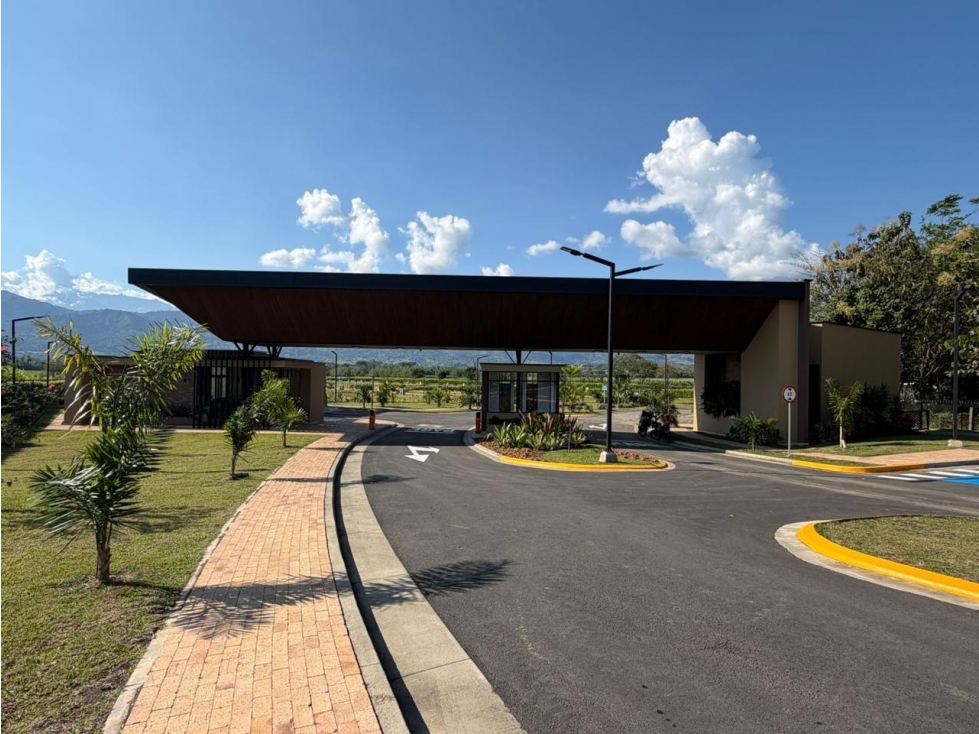 LOTE EN VENTA EN VITERBO, CALDAS - 3