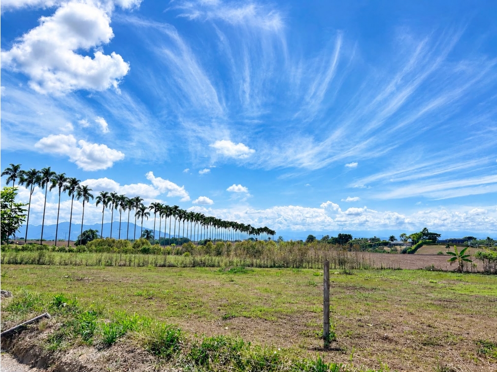LOTE CAMPESTRE EN VENTA EN CERRITOS, PEREIRA — foto 3