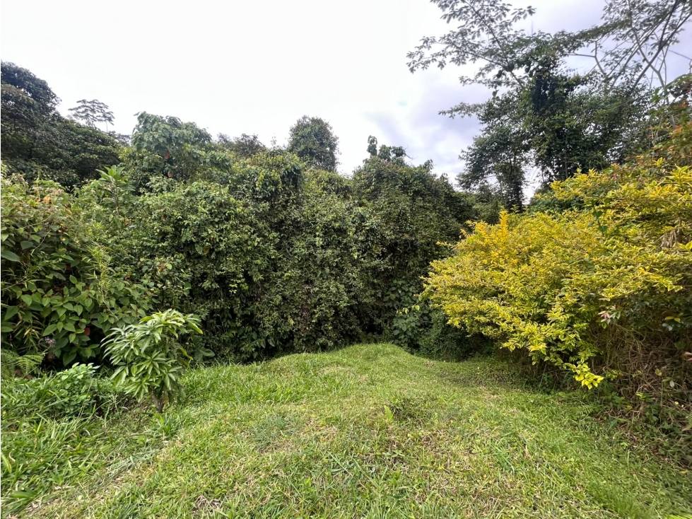 LOTE EN VENTA VEREDA EL OBITO, SANTA ROSA DE CABAL - 3