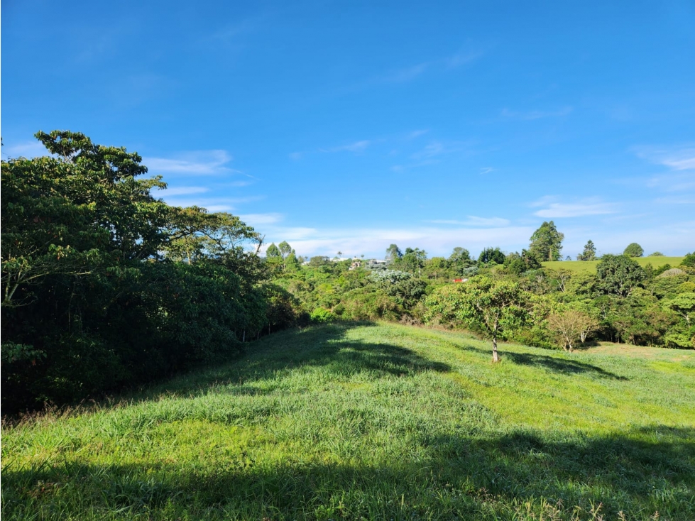 LOTE EN VENTA EN FILANDIA - 3
