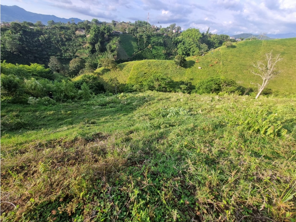 Lote en Venta en la Vía Armenia: Vistas Impresionantes - 4