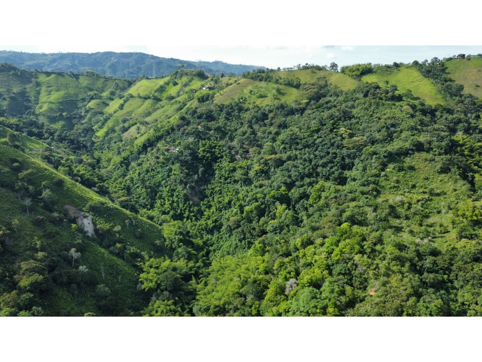 Finca en Venta en Belalcázar, Caldas - Gran Oportunidad de Inversión - 4