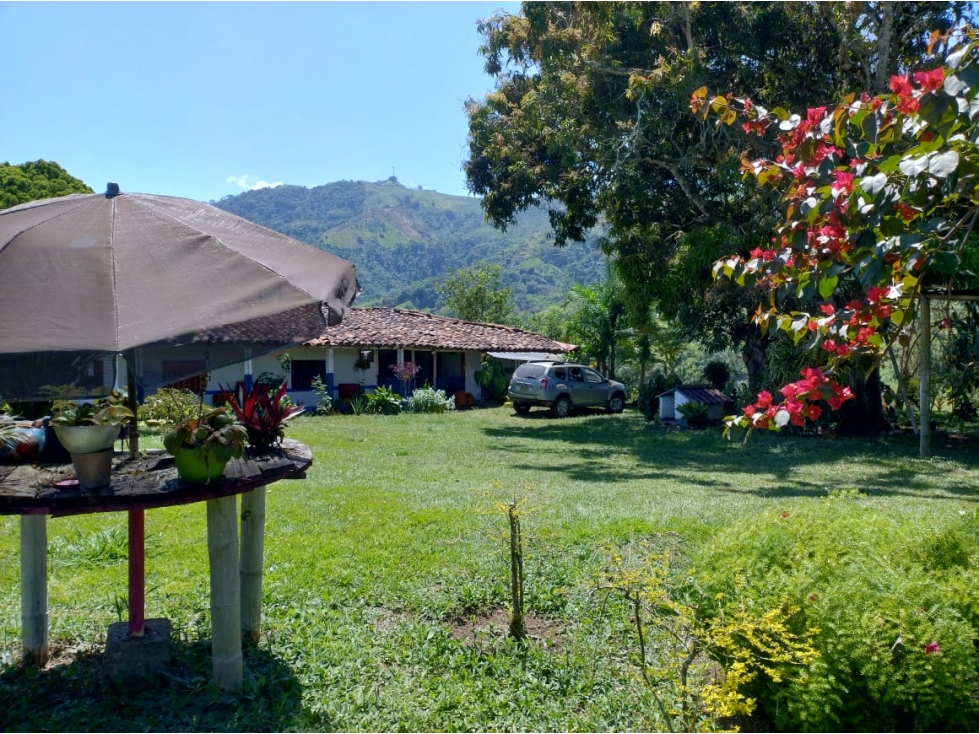 Venta de Finca a 30 Minutos de Pereira, Vía Crucero de Combia — foto 5