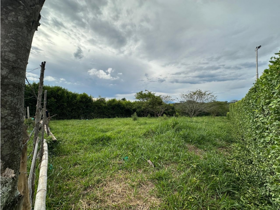 enta de Espectacular Lote Plano en Entrada al Tigre — foto 4