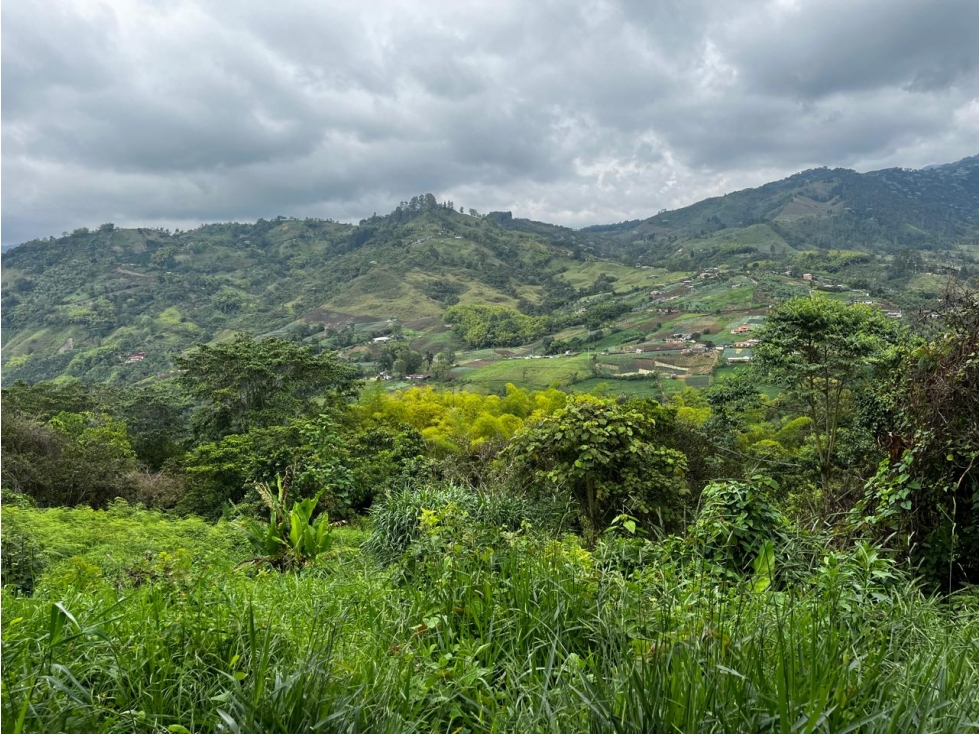Finca en Venta Corregimiento de La Florida, Pereira — foto 4