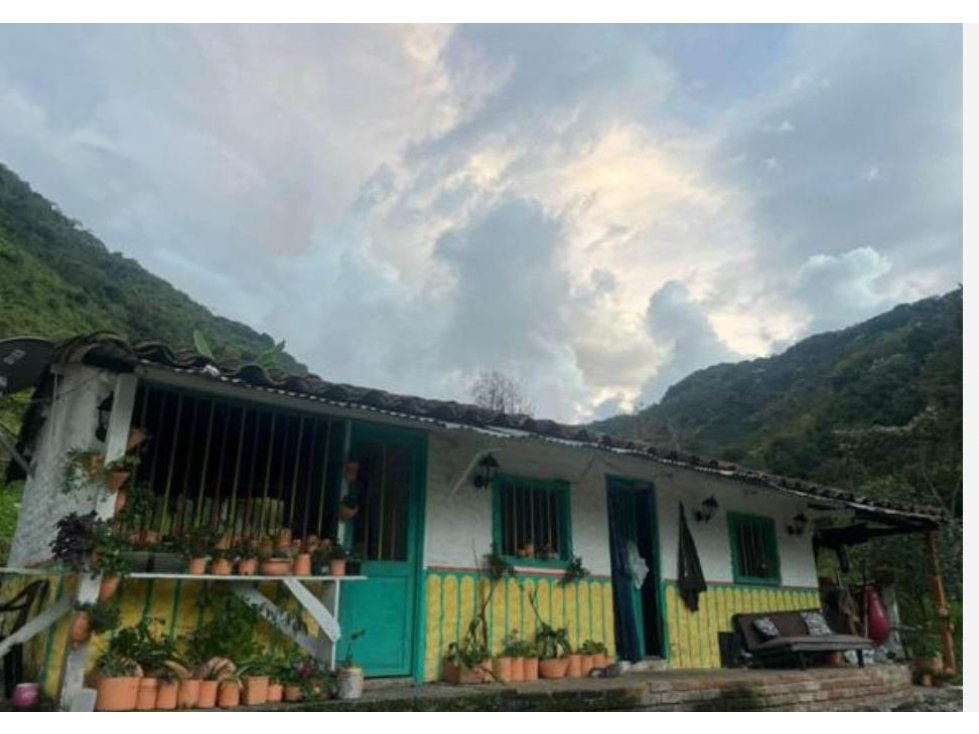 Finca en Venta Génova, Quindío - 4