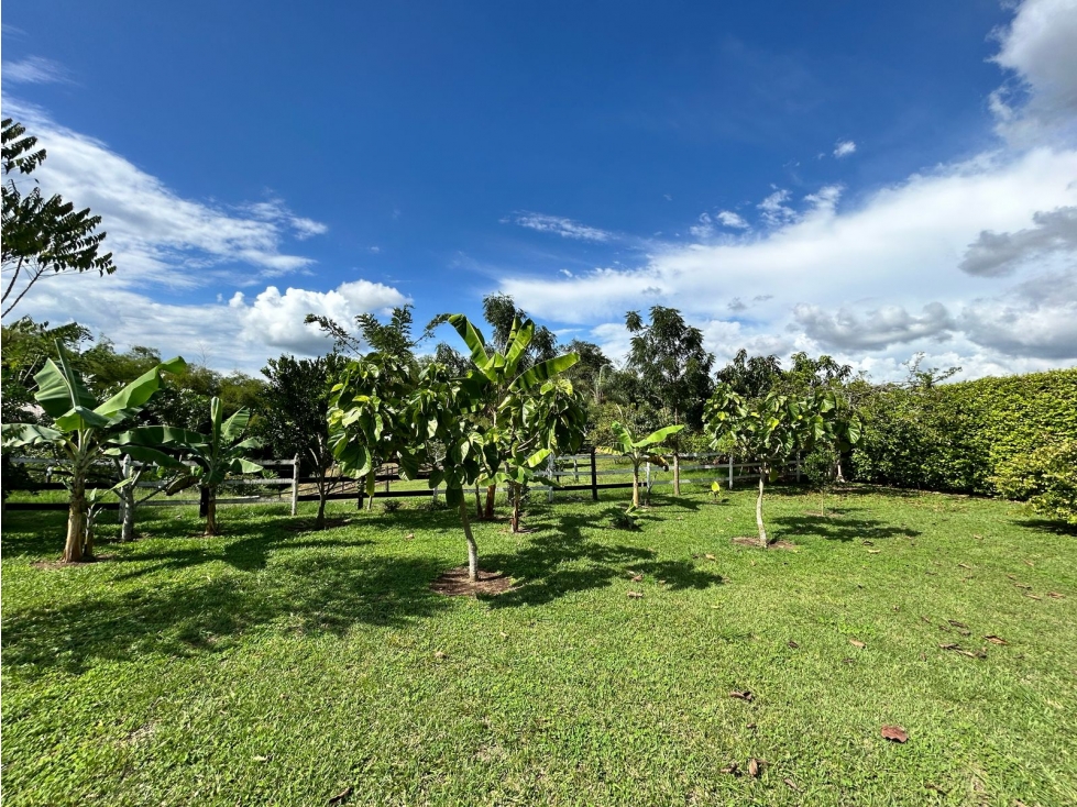 Espectacular propiedad campestre en Cerritos, Pereira — foto 4