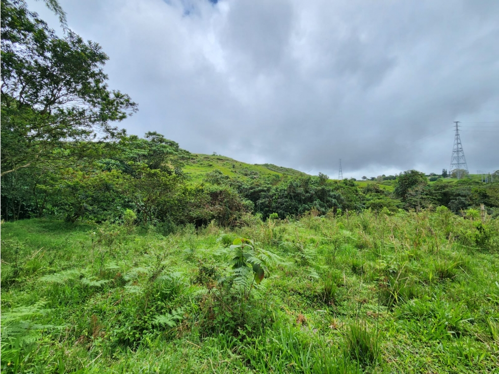 lote en venta con topografía plana y recursos hídricos naturales - 4